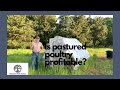 Pastured Poultry Profits - Are Pastured Chickens Profitable