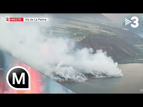 Vídeo: Què Cal Fer Si El Portàtil Està Inundat D’aigua