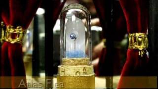 Flea Circus - The Flying Starts
