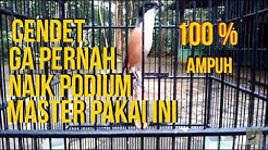 Cendet mana yang bisa diam klo dengar masteran ini  - Durasi: 17:18. 