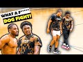 Nas vs kylon intense 1v1 battle turns into dog fight