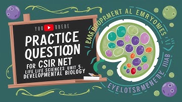 "CSIR NET Life Sciences Unit 5: 📚 Practice Questions on Developmental Biology 🌱" #csirnet #examprep