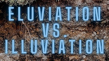 Eluviation vs Illuviation & the E Horizon