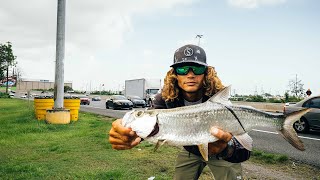 PESCA DE SABALOS EN EL EXPRESO