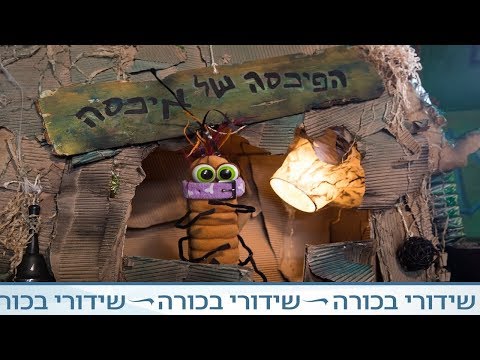 פילו וסופי - אספת החתולים