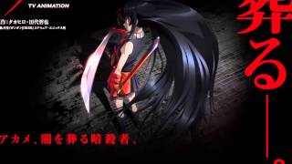 Magix Of Sound  To Kill  Akame Ga Kill 