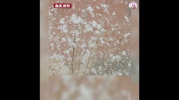 So romantic! Shanghai sees the first snow of 2023