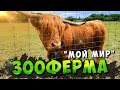 &quot;МОЙ МИР&quot; ЗООФЕРМА // д. Относово, Смоленская обл. // 2023 // 4K UHD