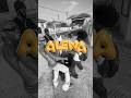 “ALEWA” in Tha Hood🔐🔥 #fyp #reels #shorts #explore #views #amapiano #viralvideo #trending