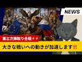 警報⚡️⚡️ EUとNATOのストッパー役、ハンガリーのオルバン首相が退陣❗️日本は改憲の動き‼️