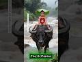 Buffalo Saves Boy from Drowning  Heartwarming Animal Story #Shorts #Shortsfeed