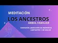 LA MEJOR ‼️  💖 Meditación Liberación y Sanación del Clan Materno y Paterno ‼️💖   ( sana a tu arbol )