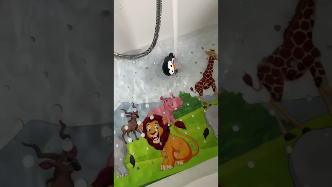 preview_player