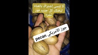 طريقة زراعة الجوز الامريكي (pecan) و زوزة عربي (عين جمل)