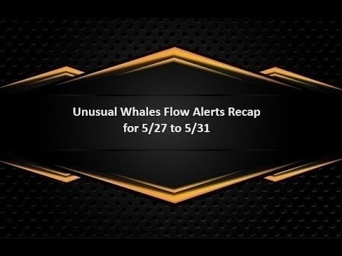Unusual Whales Flow