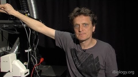 Microscopy: High Speed Synchronization (Nico Stuurman)