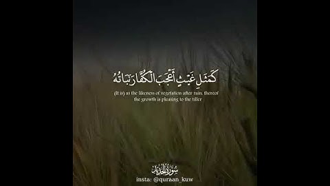 حالات واتس اب😌بصوت حاتم المالكي🍃قران كريم بصوت جميل جدا🍃اجمل حالات واتس اب دينية🍂تلاوة خاشعة