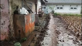 Proses pembuatan kolam ikan di sawah - hari ke 1