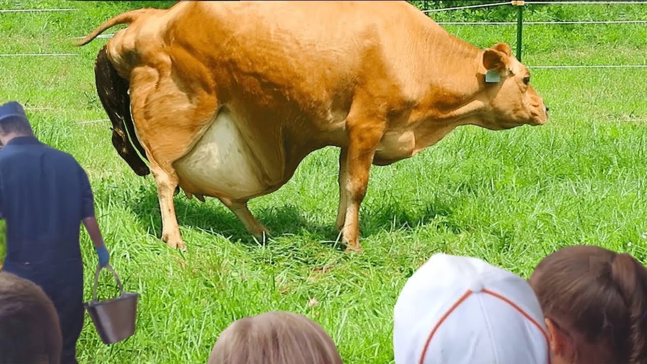 Life Finds A Way Most Unusual Animal Births Captured On Camera YouTube Life Finds A Way Most Unusual Animal Births Captured On Camera YouTube