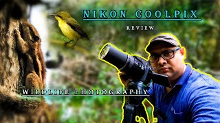 Bird Photography | Nikon Coolpix P900 Review | Wildlife Photography