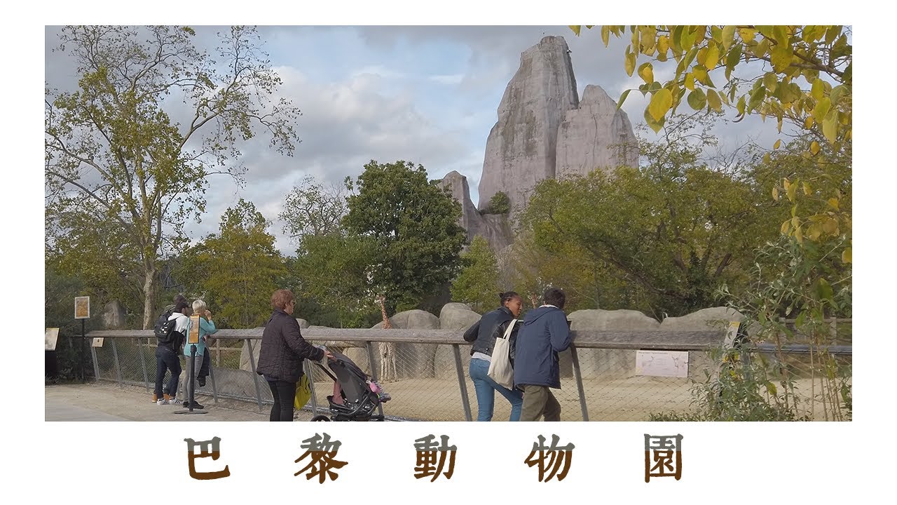 🇫🇷 法國巴黎動物園 🦒 Parc Zoologique de Paris
