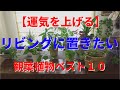 【運気を上げる】リビングに置きたい観葉植物ベスト１０。おすすめ厳選インテリア風水｜金運、対人運、健康運、仕事運、結婚運、恋愛運がUP！ 育てやすく人気の観葉植物