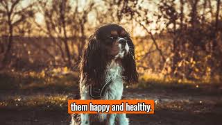 The Cavalier King Charles Spaniel - Top Personality Traits, Characteristics, and Facts! by 101DogFacts 76 views 6 months ago 2 minutes, 10 seconds