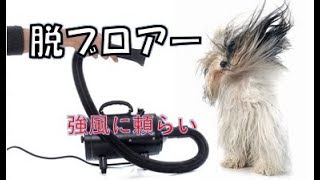 3gp King Chut Fhadna - ãƒšãƒƒãƒˆãƒ›ãƒ†ãƒ« ãƒ‘ãƒ”ãƒ¼ãƒ‘ãƒ¼ãƒ†ã‚£ çŠ¬ã®ä¿è‚²åœ’(dog nursery)ï½œDOG DIAMONDï½œãƒ‰ãƒƒã‚°ãƒ€ã‚¤ãƒ¤ãƒ¢ãƒ³ãƒ‰ :: äººã‹ã‚‰æ±‚ã‚ã‚‰ã‚Œã‚‹ä»•äº‹