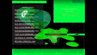 Aura Infinity - Australian Acid Hymn (Original Mix)