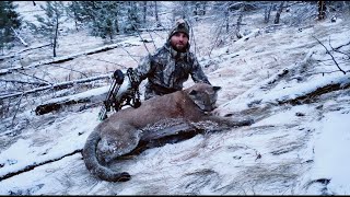 Here Kitty Kitty! A Deer Hunt turns into a Cougar Hunt.