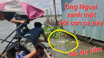 Chinh phục HuGo Sông Tiền. 3 cha con hết hồn khi nó nổi lên mặt nước | Săn bắt SÓC TRĂNG |