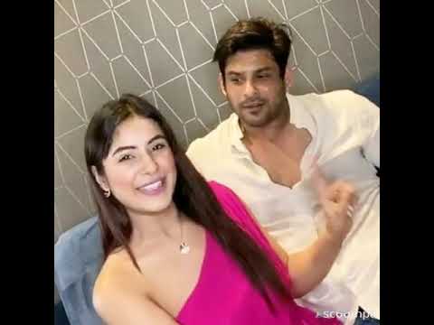 sidnaaz Sidharth sukla and Shehnaz Gill live cute moments