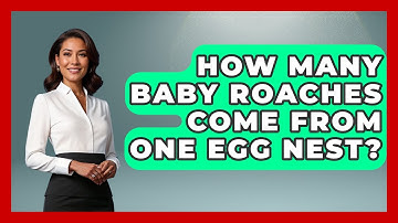 How Many Baby Roaches Come From One Egg Nest? - Insects and Invaders