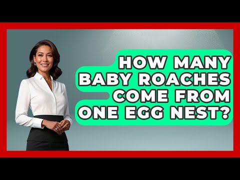 How Many Baby Roaches Come From One Egg Nest Insects And Invaders