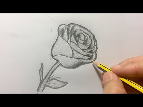 Vídeo: Com Dibuixar Una Bella Rosa