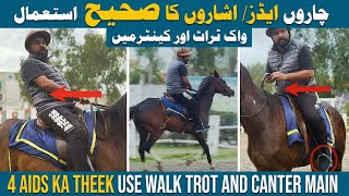 How to use aid in walk trot and canter | Natural and Artificial aids | Part 4 #horse