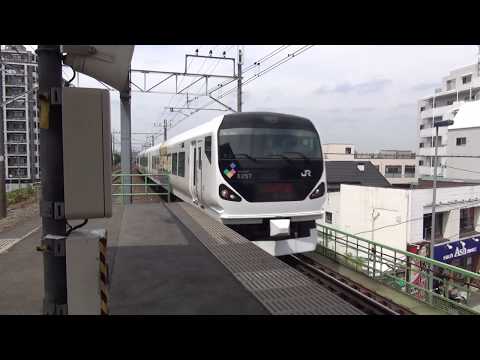 E257系0番台モトM-103編成 特急あずさ17号 松本行き 日野通過