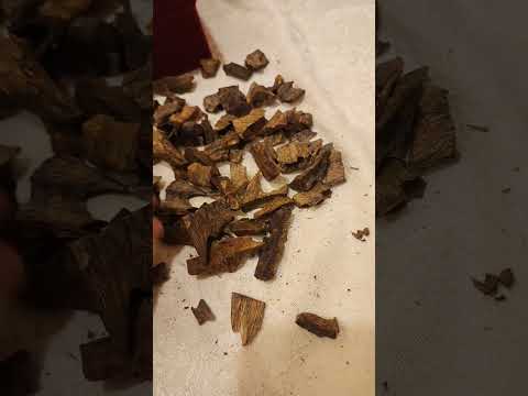 معلومات مهمة عن بعض انواع العود الصيني ومعنى كينام ابوجود اليحيى 0592039692