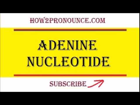 How To Pronounce ADENINE NUCLEOTIDE - YouTube