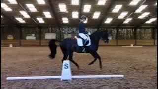 Advert reference -  347221