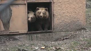 Újra Látogatható A Szegedi Vadaspark