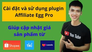 Hướng dẫn cài đặt và Sử dụng plugin Affiliate Egg Pro để làm Affiliate Marketing (P3) screenshot 1