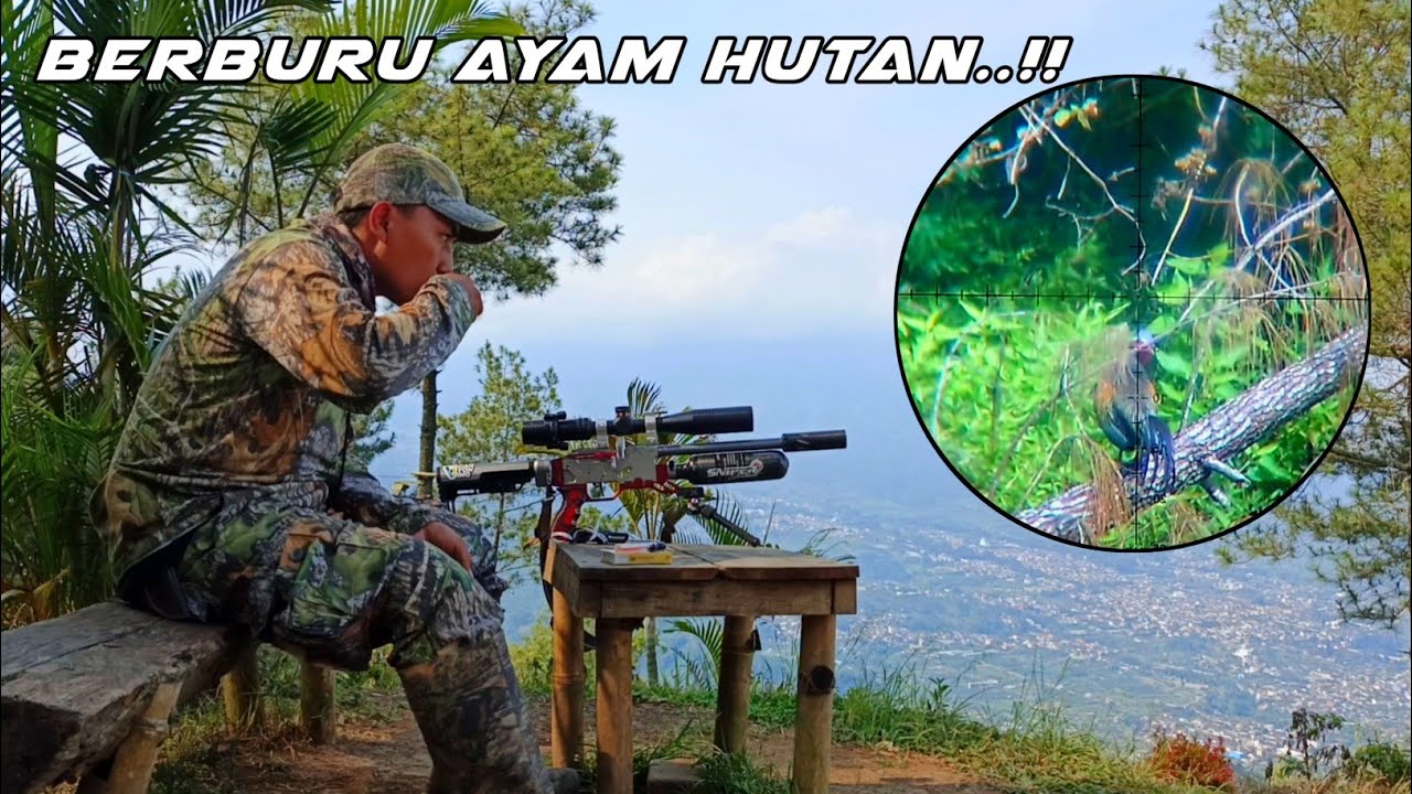 Solo Hunting.. Berburu Ayam Hutan Hijau ! Spot syahdu wajib poin 🐓🐓