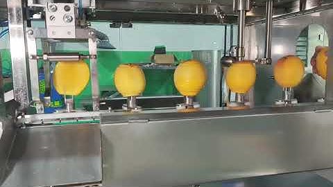 How to quickly peel a large number of #mangoes ? Efficient Automatic Mango Peeling Coring Machine