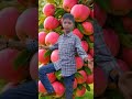 hemachandra