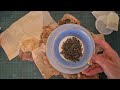 Beginning of video