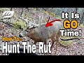 How To Hunt The Whitetail Rut - Right Now!
