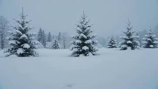 Snowfall and Winter Wind | Relaxing Snow Sounds for Sleep, Study and Relaxation