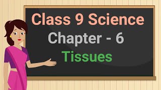 Class 9 Science Chapter 6 'Tissues' (6.3.3) Animal Tissues Muscular Tissue cbse ncert