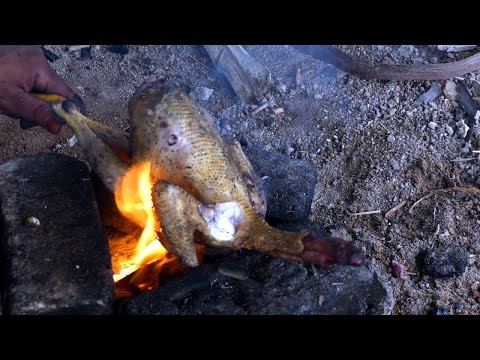 Catch a Wild Chicken and Preparing Yammy Chicken Curry | HEN COOKING AND EATING | street food